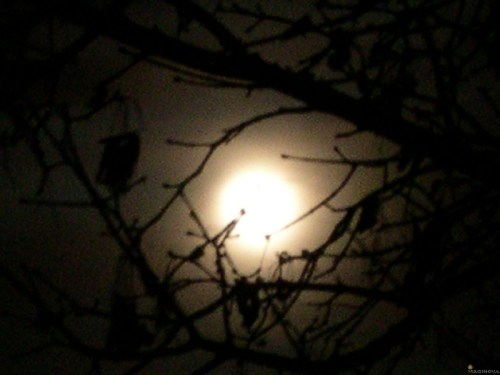 moon through fog