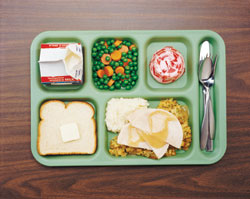 1162407703lunch_tray