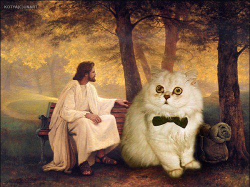 jesus and a big cat