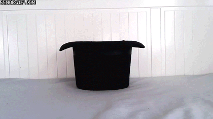 current status- click if it doesn't animate